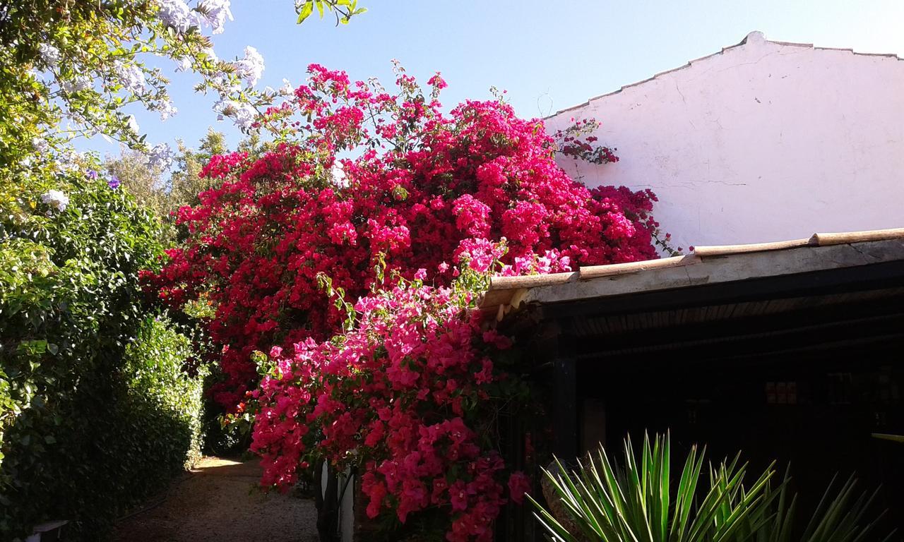 Villa Quinta das Flores Albufeira Exterior foto